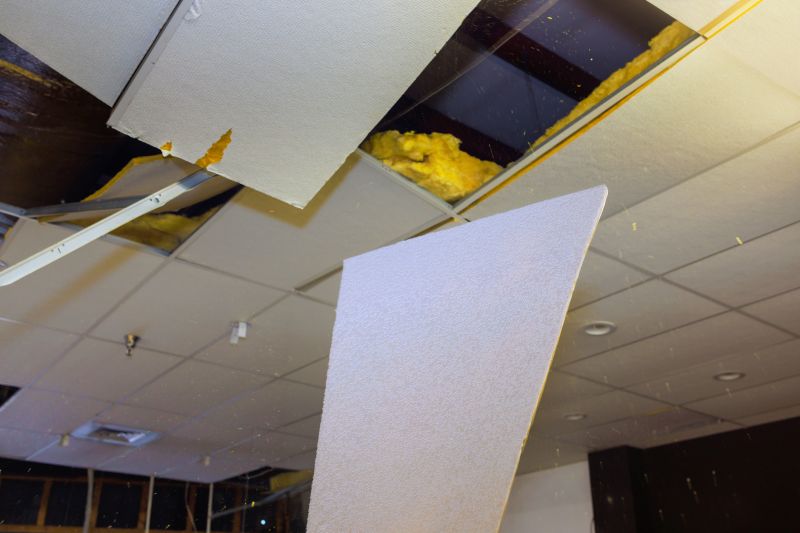 Cost of Ceiling Demolition Service in Lansdale, PA